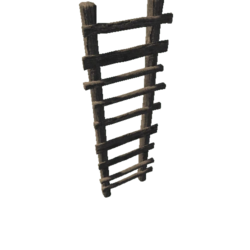 Ladder Old 1